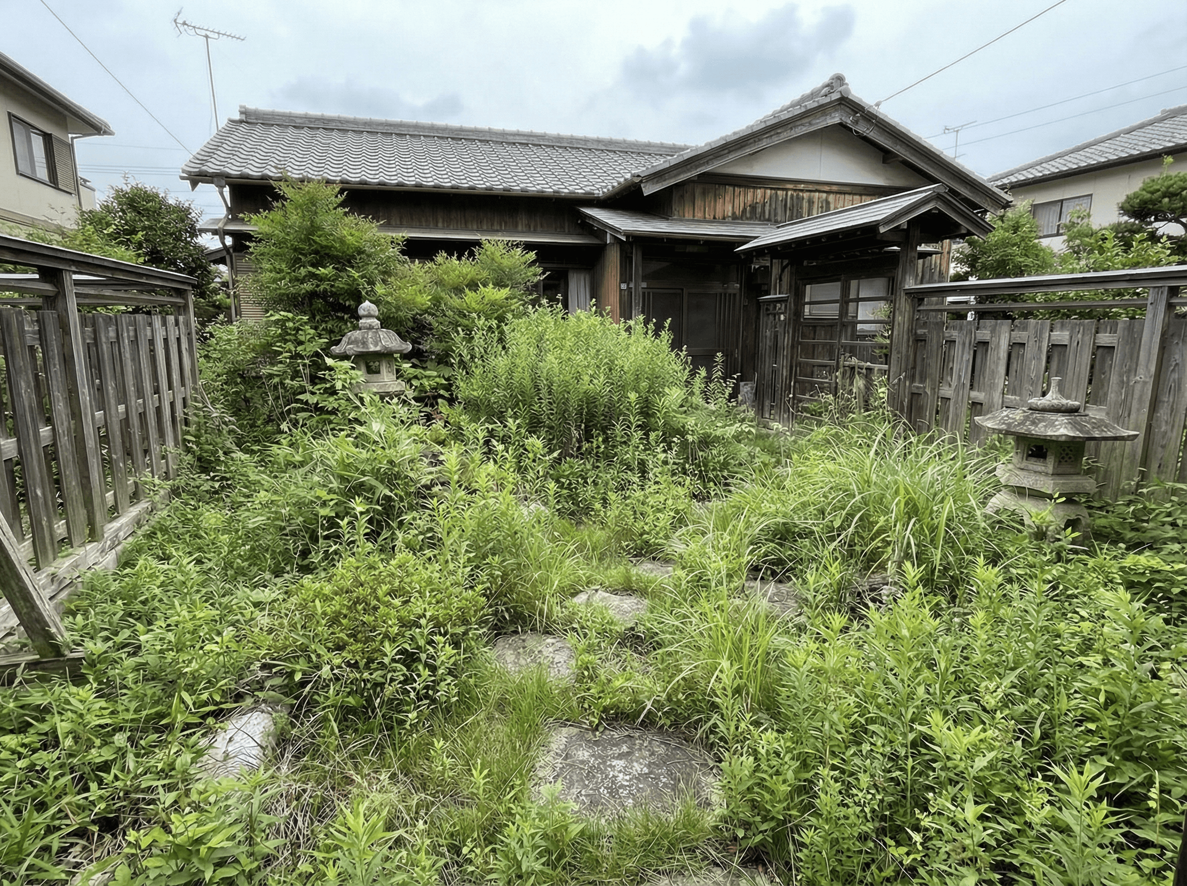 Before:雑草が腰の高さまで生い茂っている庭